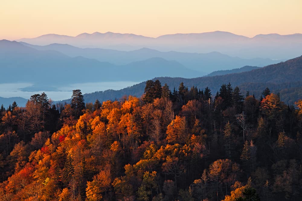 Great Smoky Mountains Fall