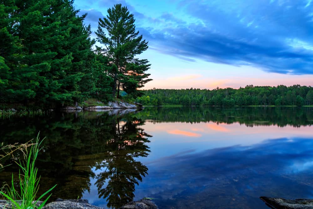 Voyageurs National Park in July