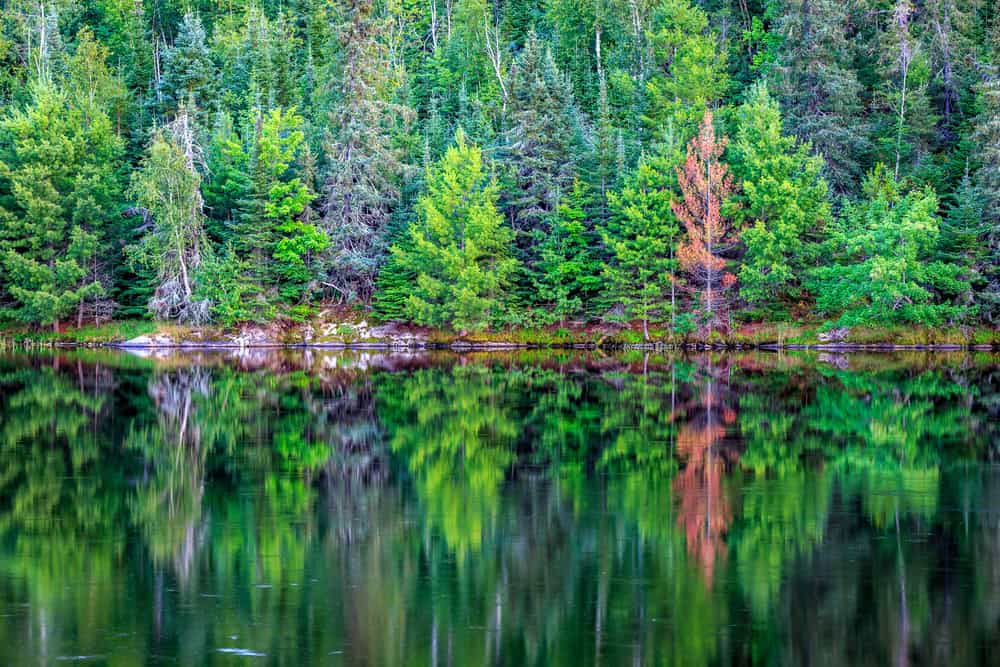 Voyageurs National Park, Minnesota