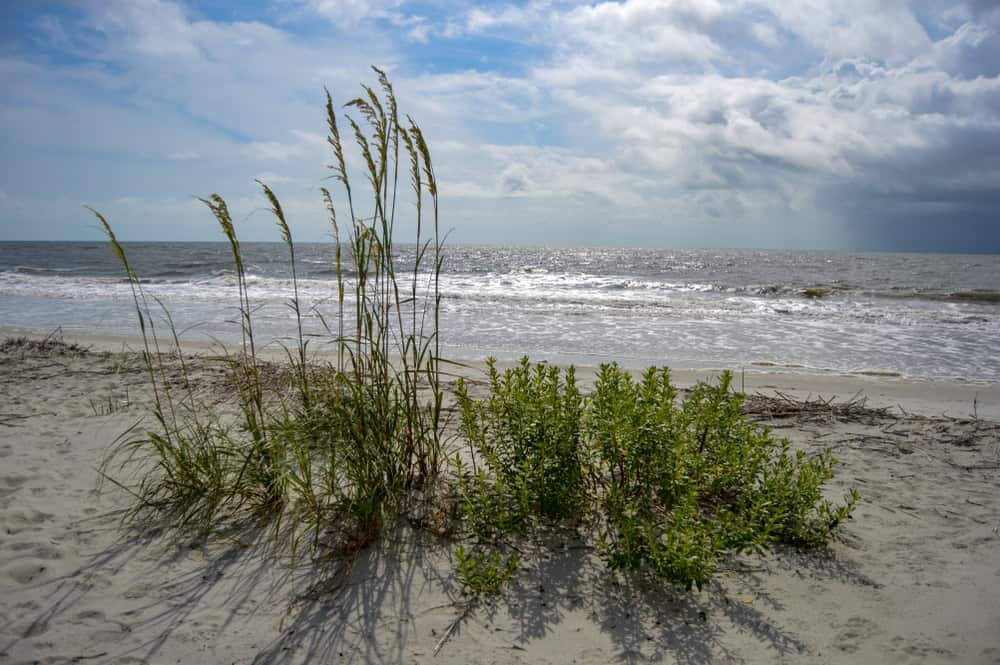 St Simons Island Beach